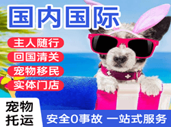 富蕴可可托海国际宠物托运 【国